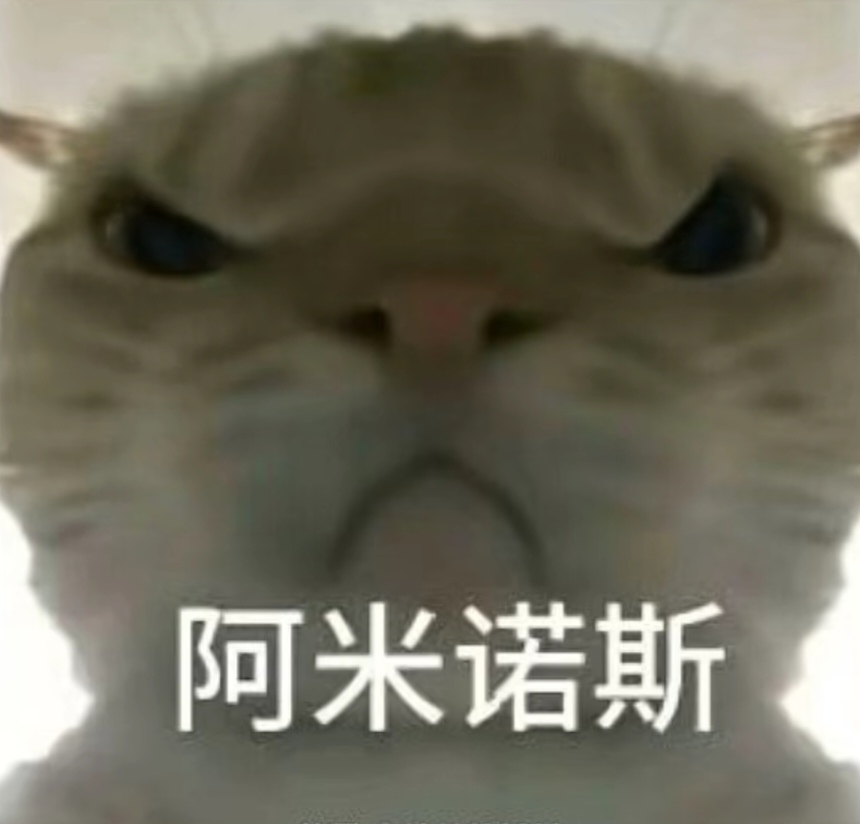 要基于球员 要基于球员