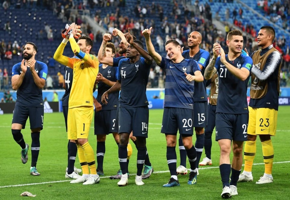 这一组织的 这一组织的