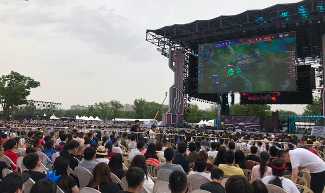 迷与业内人 迷与业内人